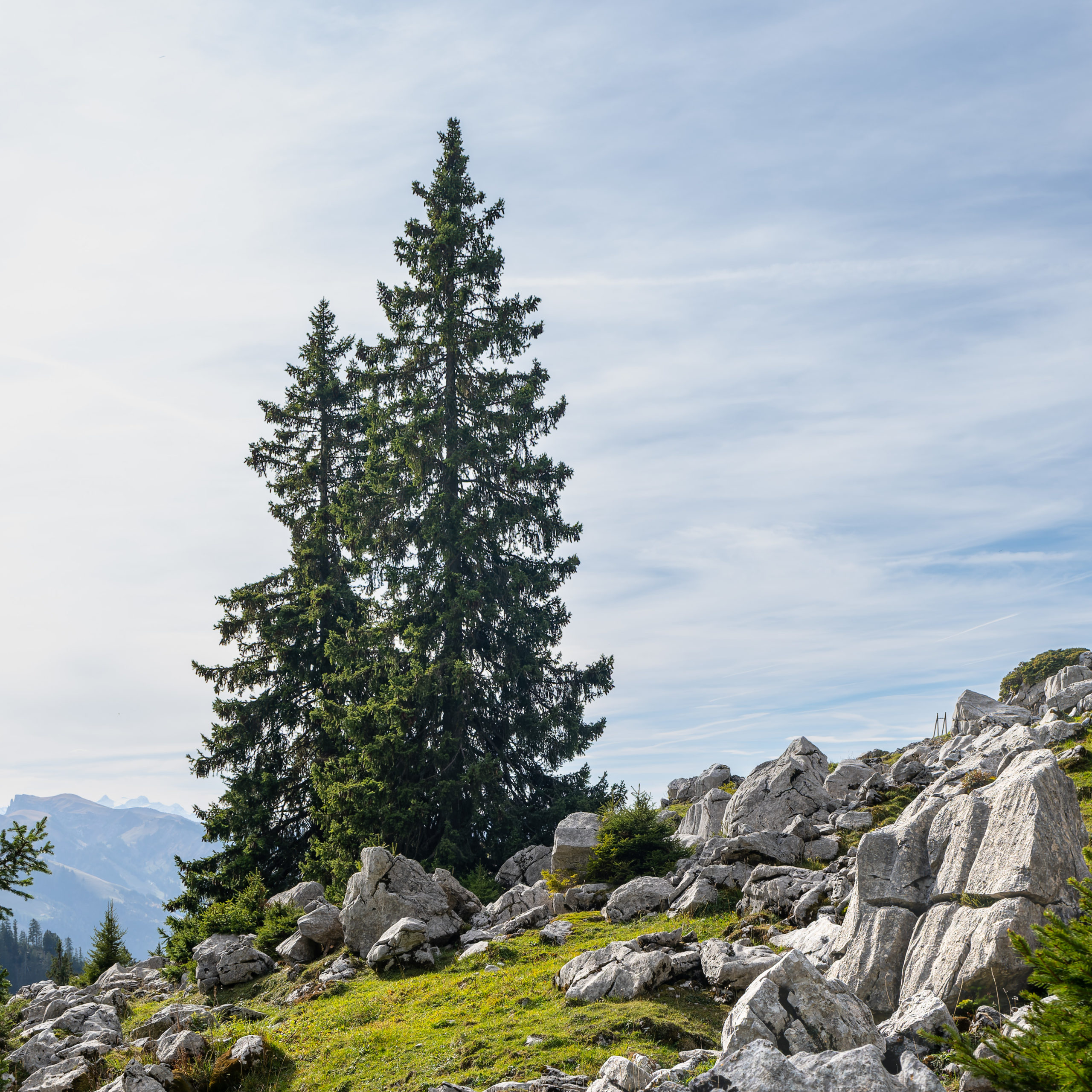 Nature et Paysage