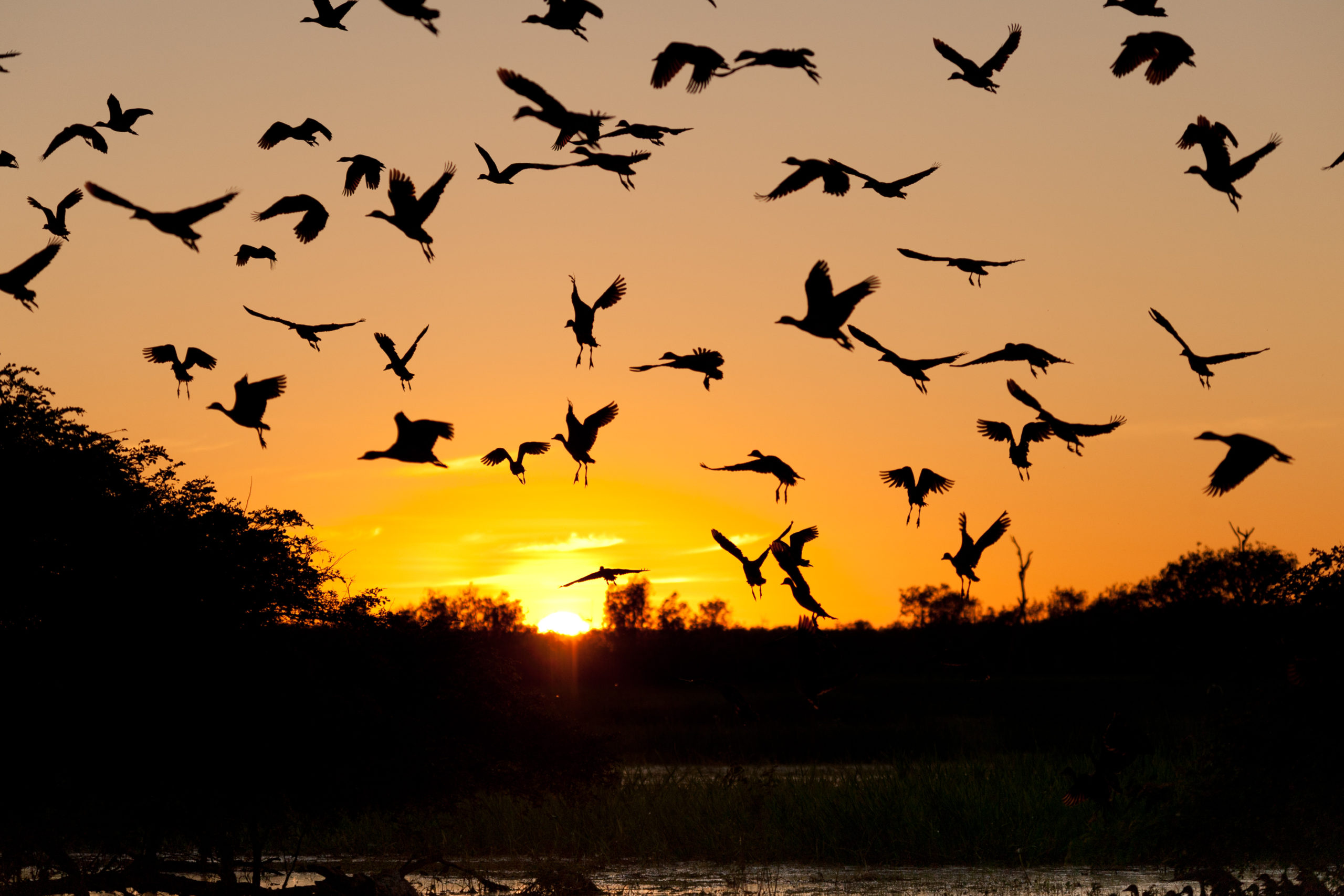 Kakadu, L&rsquo;aube sur le lagon