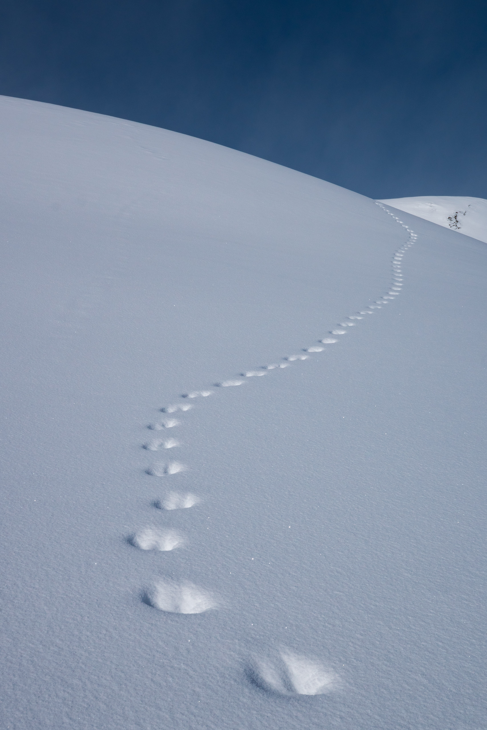 Traces vers l&rsquo;infini