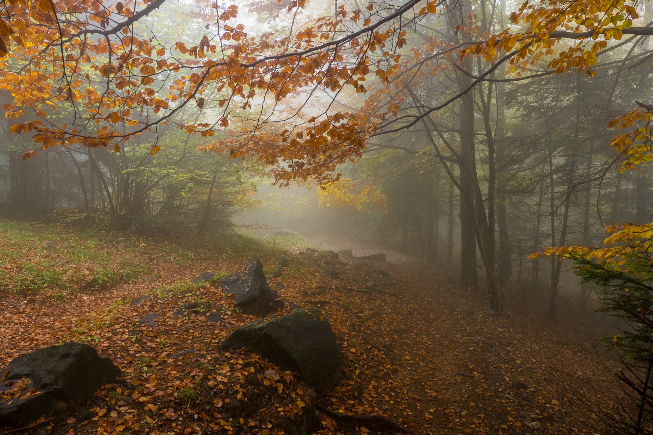 Dans les hauteurs de Locarno