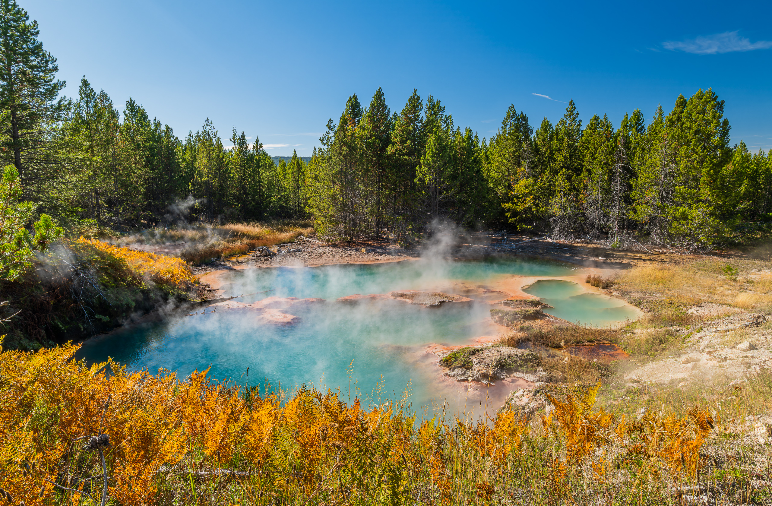 Yellowstone, l&rsquo;immensité sauvage — Automne 2023